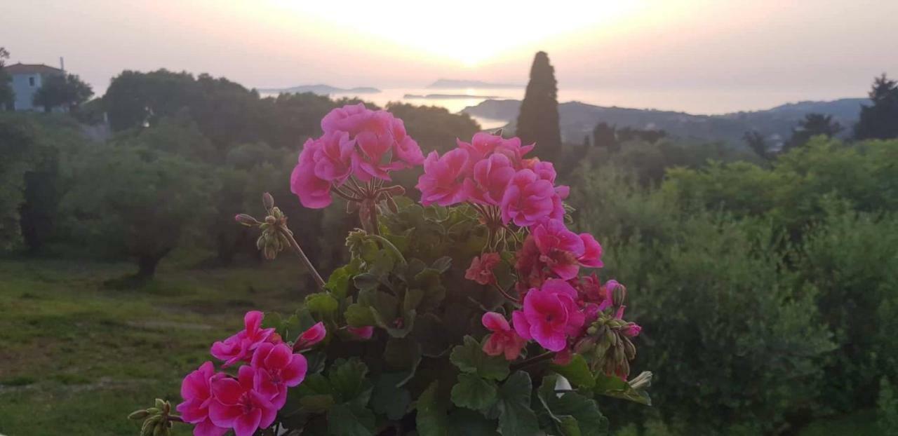 Villa Angelko Kavvadades エクステリア 写真